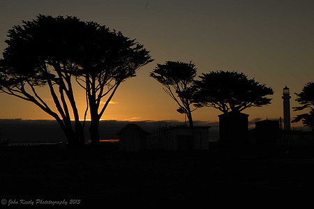 UntitledTrees @ Sunset