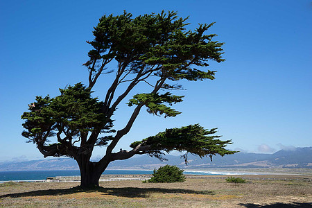 The Way of the Wind