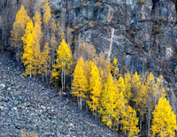 Northern Colorado October 2016