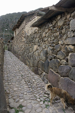 Peru:Machu Picchu 2017 zen-33