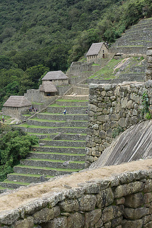 Peru:Machu Picchu 2017 zen-25