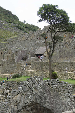 Peru:Machu Picchu 2017 zen-26