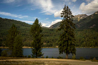 Lake & Trees
