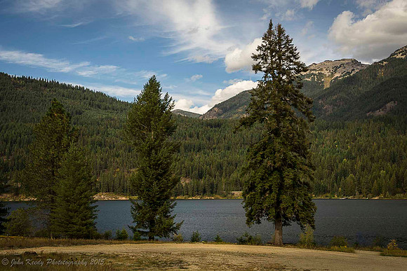 Lake & Trees