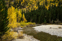 S Curve