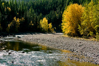 Creek& Gold