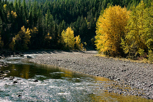 Creek& Gold