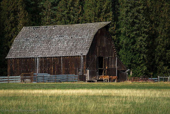 Barn&Horses