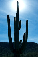 Southwest Desert Scenes
